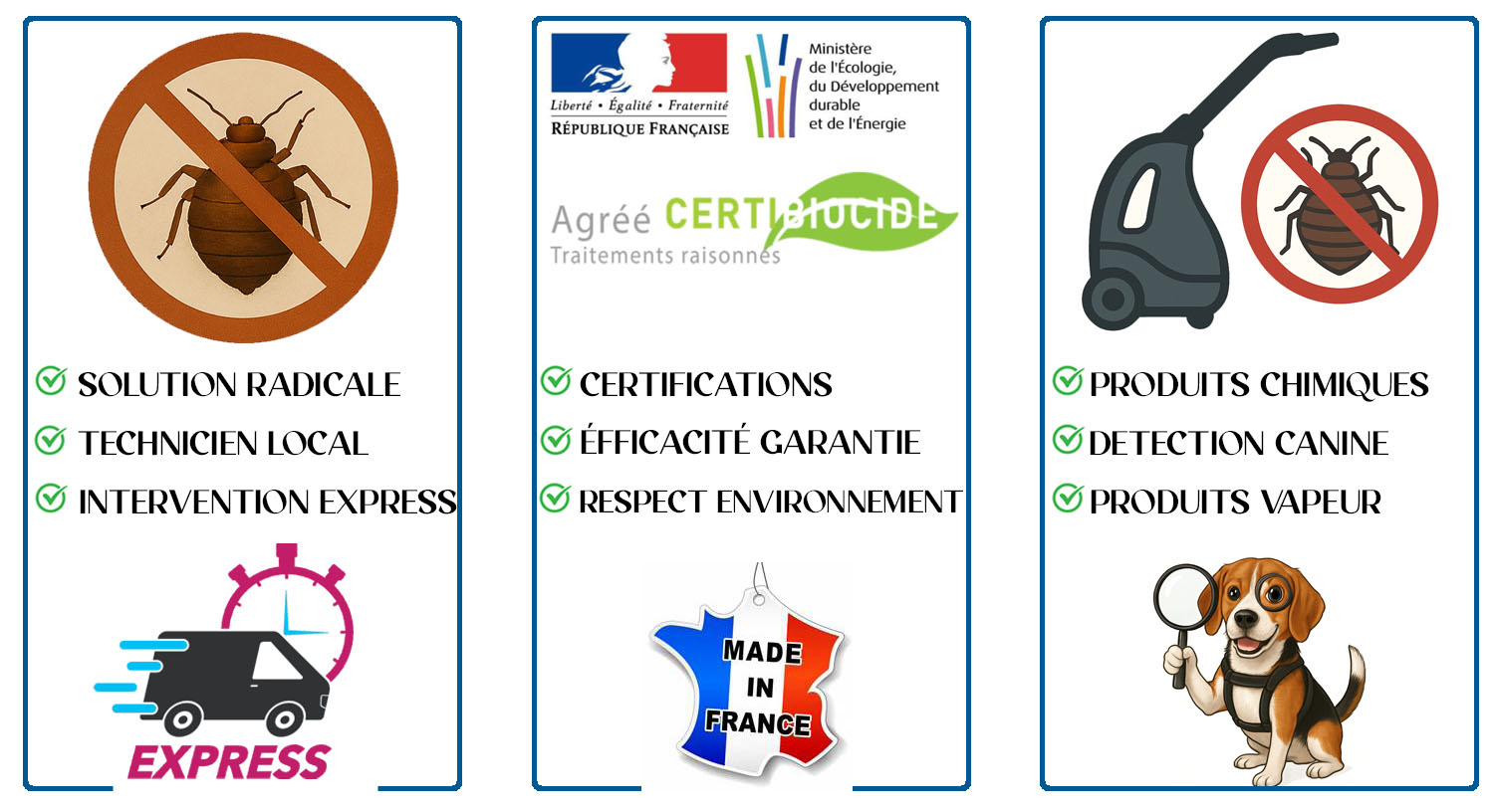 Punaises de Lit Fontenay sous Bois